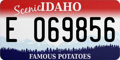 ID license plate E069856