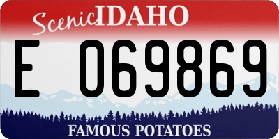 ID license plate E069869