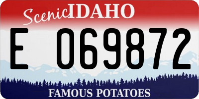 ID license plate E069872