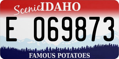 ID license plate E069873