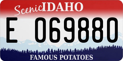 ID license plate E069880