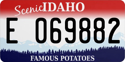 ID license plate E069882