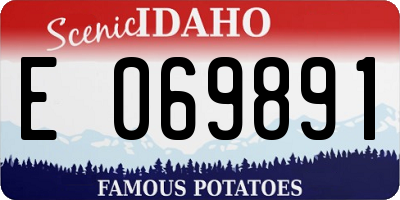 ID license plate E069891
