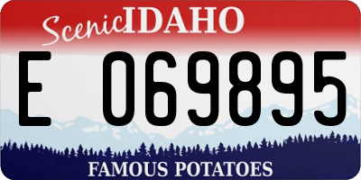 ID license plate E069895