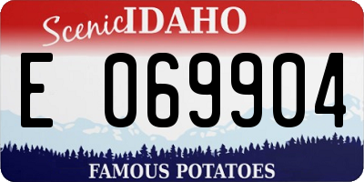 ID license plate E069904