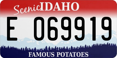 ID license plate E069919