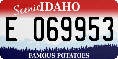 ID license plate E069953