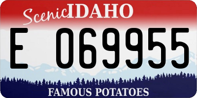 ID license plate E069955