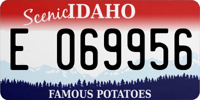 ID license plate E069956