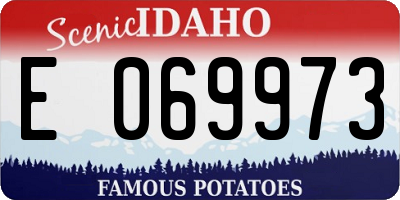 ID license plate E069973
