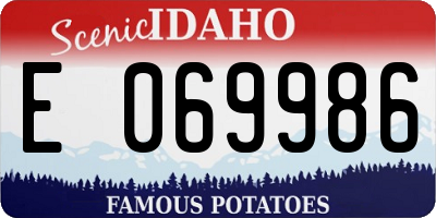 ID license plate E069986