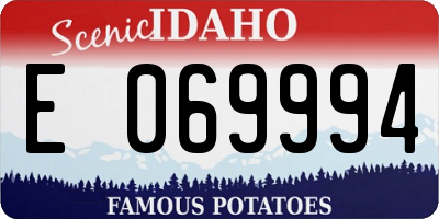 ID license plate E069994