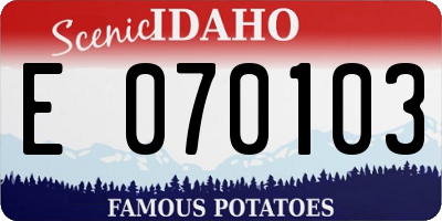 ID license plate E070103
