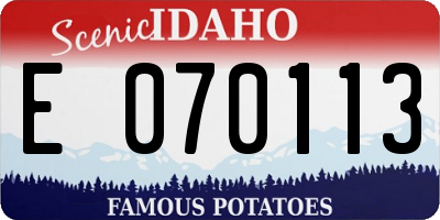 ID license plate E070113