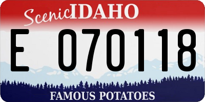 ID license plate E070118