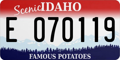 ID license plate E070119