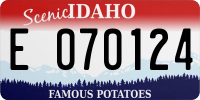 ID license plate E070124