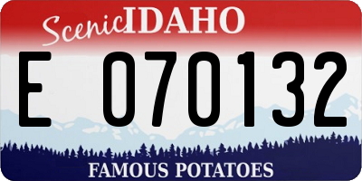 ID license plate E070132