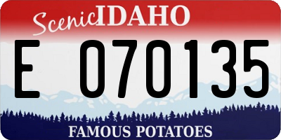 ID license plate E070135