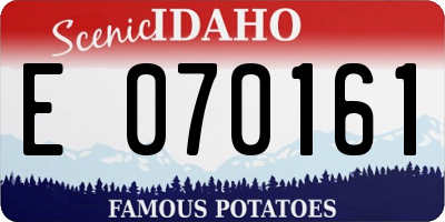 ID license plate E070161