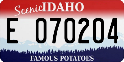ID license plate E070204