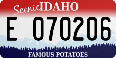ID license plate E070206