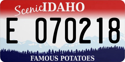 ID license plate E070218