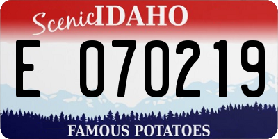 ID license plate E070219
