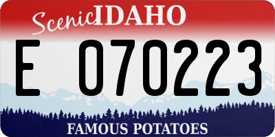 ID license plate E070223
