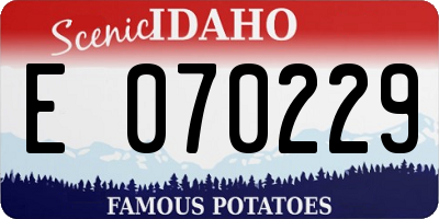 ID license plate E070229