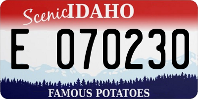 ID license plate E070230