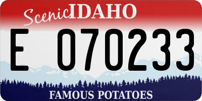 ID license plate E070233