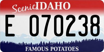 ID license plate E070238