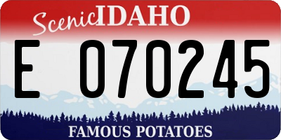ID license plate E070245