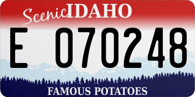 ID license plate E070248