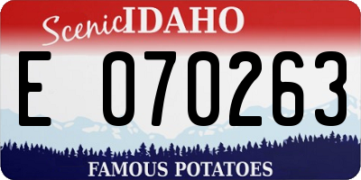 ID license plate E070263