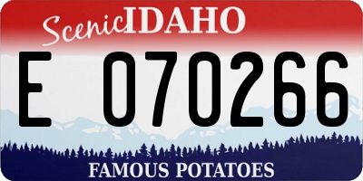 ID license plate E070266