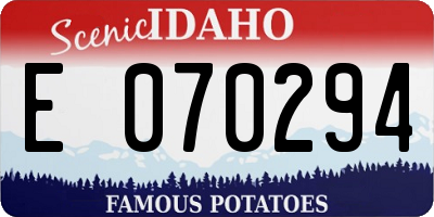 ID license plate E070294