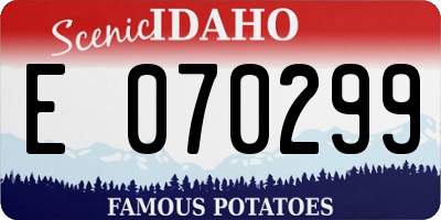 ID license plate E070299