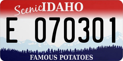 ID license plate E070301