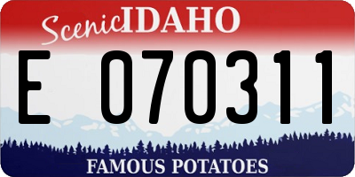 ID license plate E070311