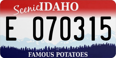ID license plate E070315