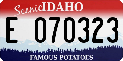 ID license plate E070323