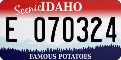 ID license plate E070324