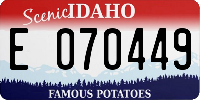 ID license plate E070449