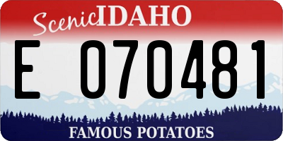 ID license plate E070481