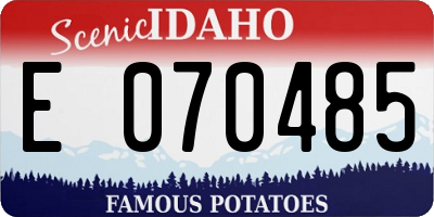 ID license plate E070485
