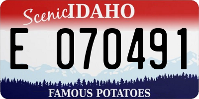 ID license plate E070491
