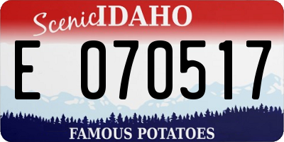 ID license plate E070517