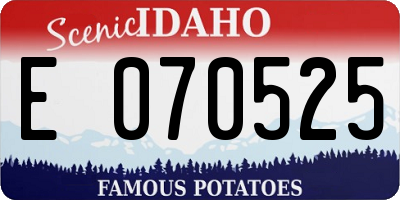 ID license plate E070525